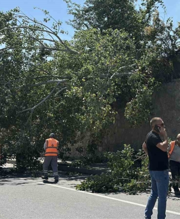 Eskişehir’de devrilen ağaç kara yolunu kısmen trafiğe kapattı