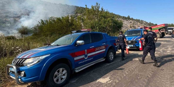 Biçme makinesinden çıkan kıvılcım ormanı yaktı, aracın operatörü gözaltına alındı
