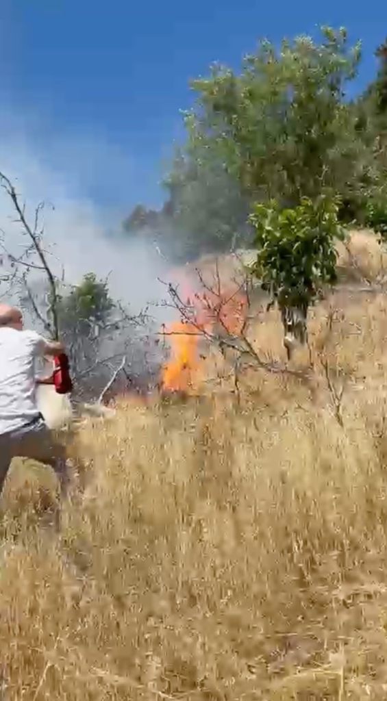 Yangını görüp aracındaki yangın tüpüyle muhtemel orman yangınının önüne geçti
