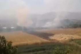 Elazığ’da otluk alanda yangın