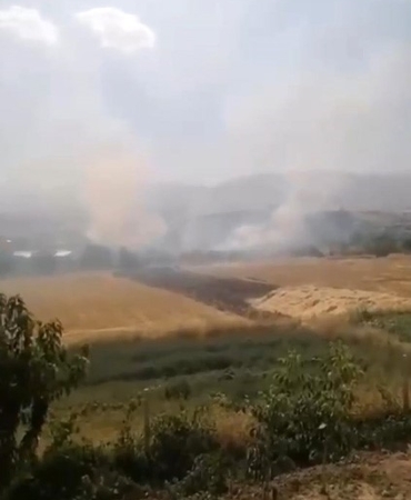 Elazığ’da otluk alanda yangın