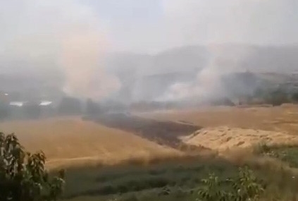 Elazığ’da otluk alanda yangın