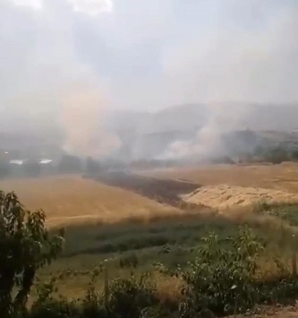 Elazığ’da otluk alanda yangın