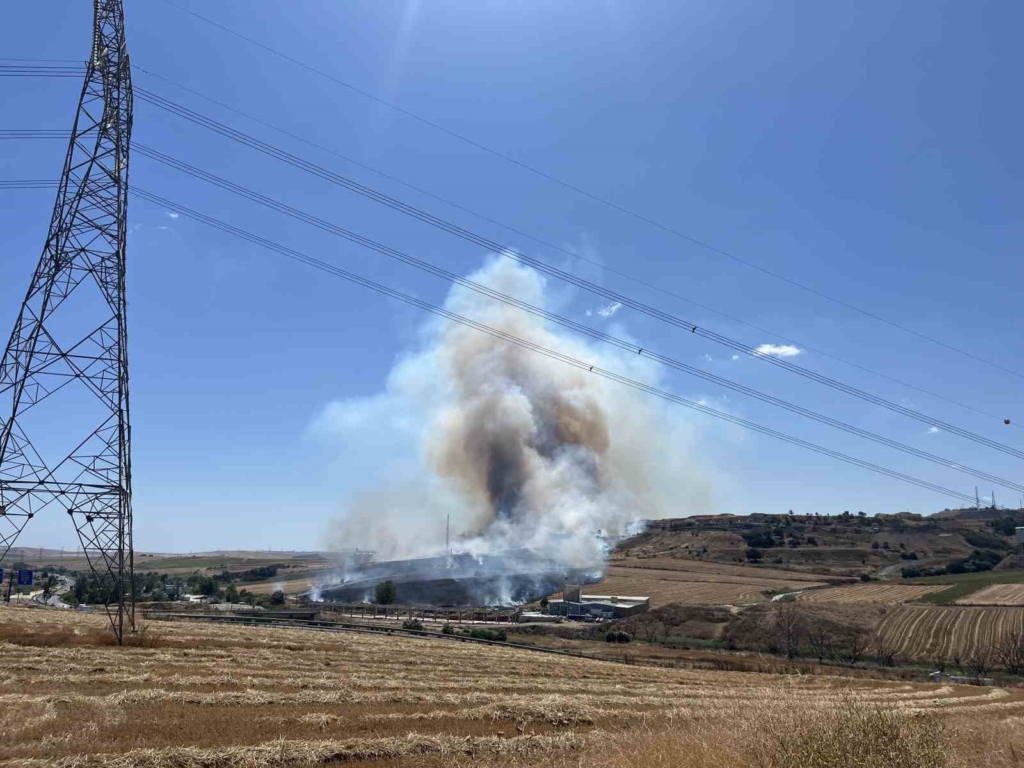 Tekirdağ’da korkutan yangın: 500 dönüm anız alev alev yandı