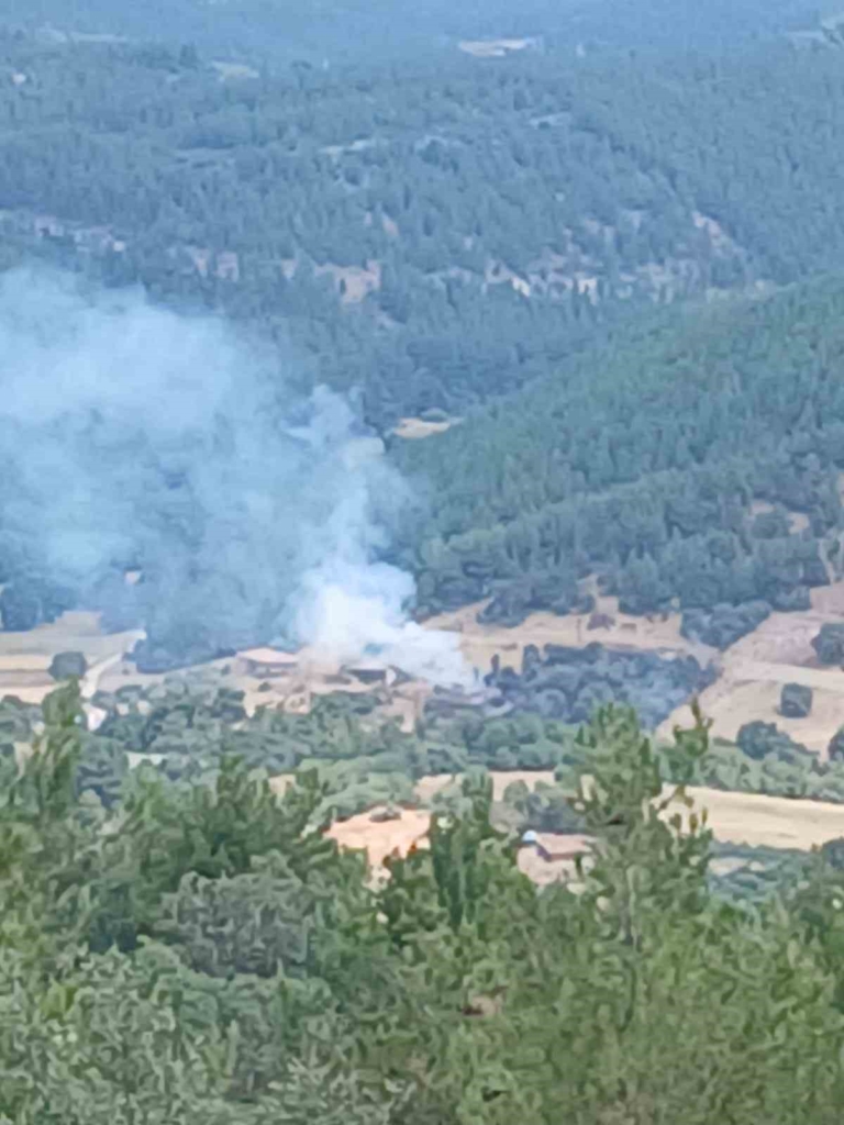 Ahırda çıkan yangın ormana sıçradı, büyümeden söndürüldü