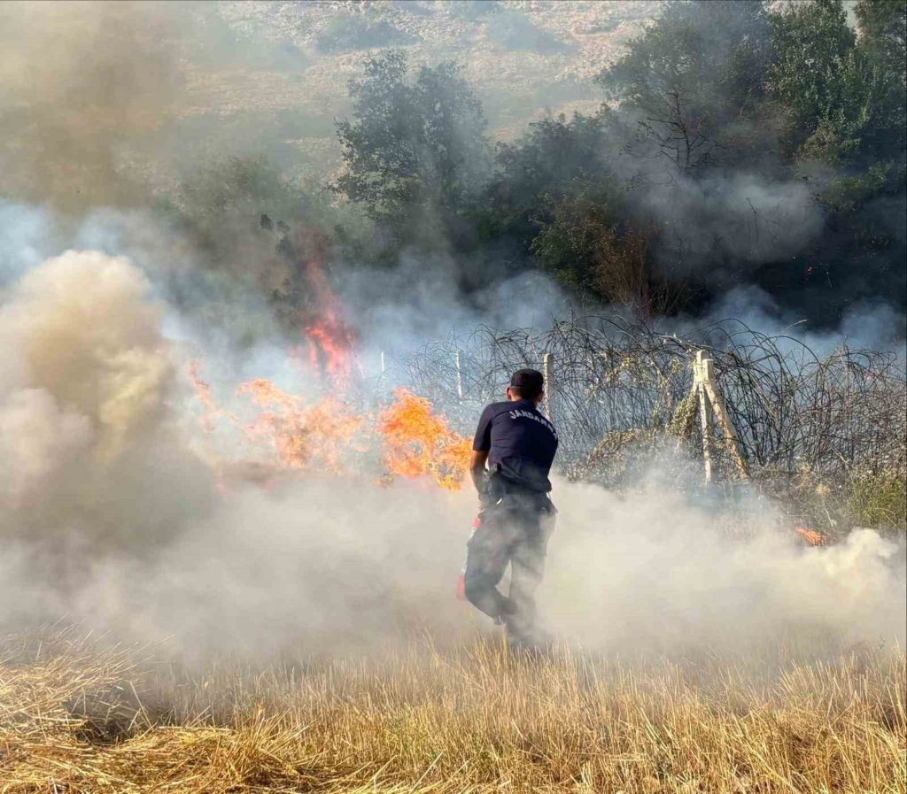 Biçme makinesinden çıkan kıvılcım ormanı yaktı, aracın operatörü gözaltına alındı