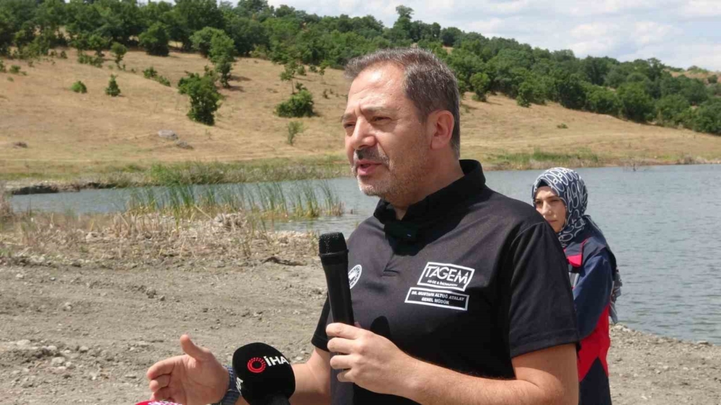 Tavşanlı göletlerine 123 bin yavru sazan bırakıldı