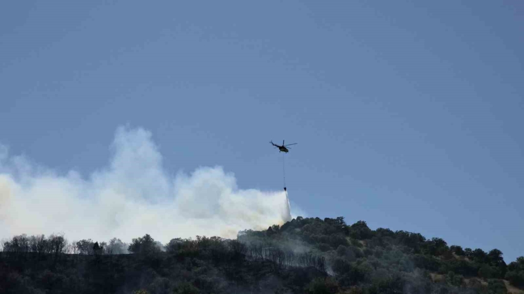 Domaniç’te tarlada başlayan ve ormanlık alana sıçrayan yangın söndürüldü