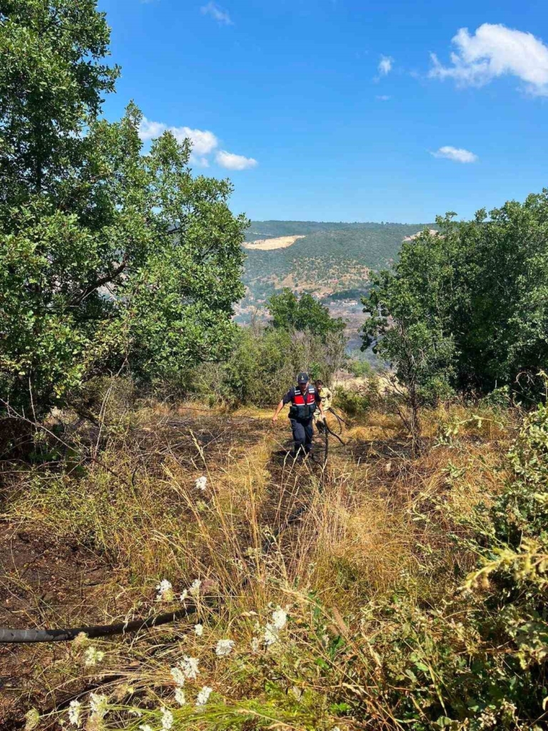 Bilecik’teki orman yangını kontrol altına alındı