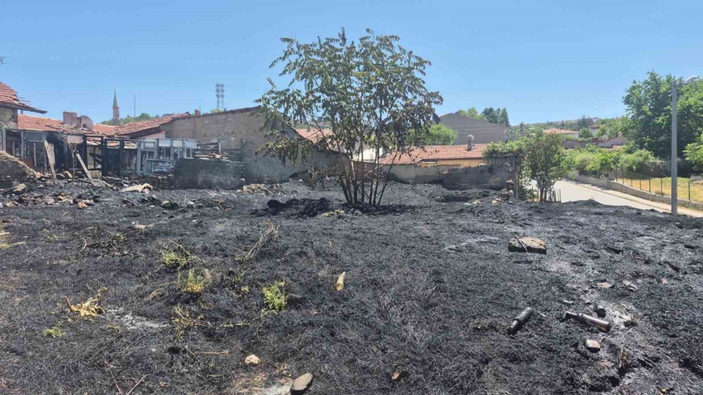 Eskişehir’de otluk alanda çıkan yangın mahalleliyi korkuttu