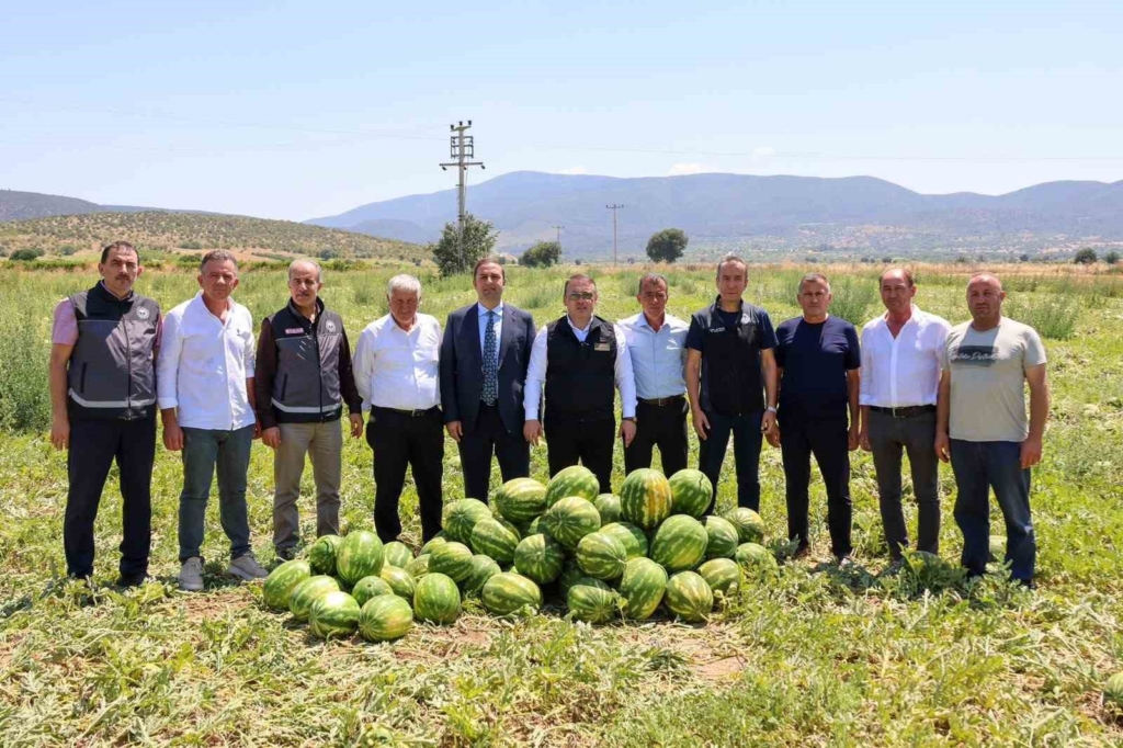 Bilecik’te 62 bin tonluk karpuz hasadı bekleniyor