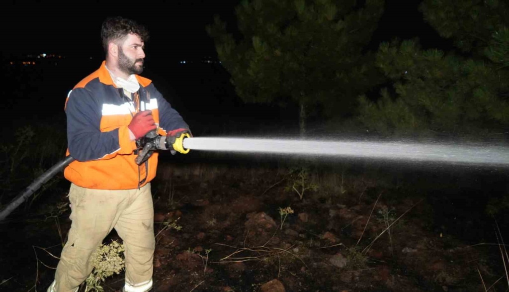 Bir kuş çam ormanlarını alevlerin eşiğine getirdi: Yangın büyümeden söndürüldü