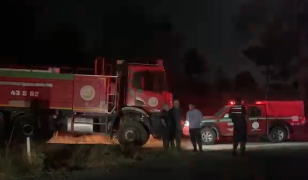 Ekili arazide çıkan yangın ormana sıçramadan söndürüldü