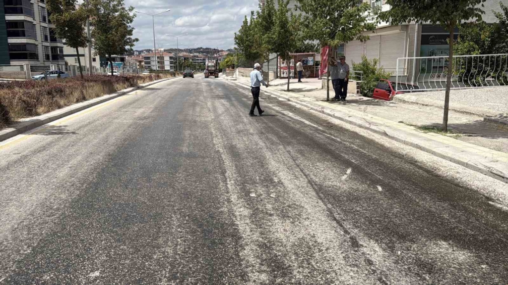 Yola dökülen zeytinyağı nedeniyle kontrolden çıkan araç bahçeye uçtu