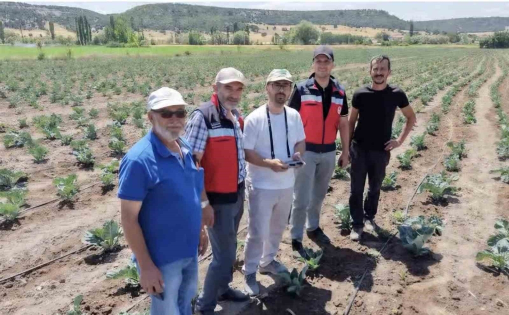 Kütahya’da karnabahar ve çörekotu üretimi denetlendi