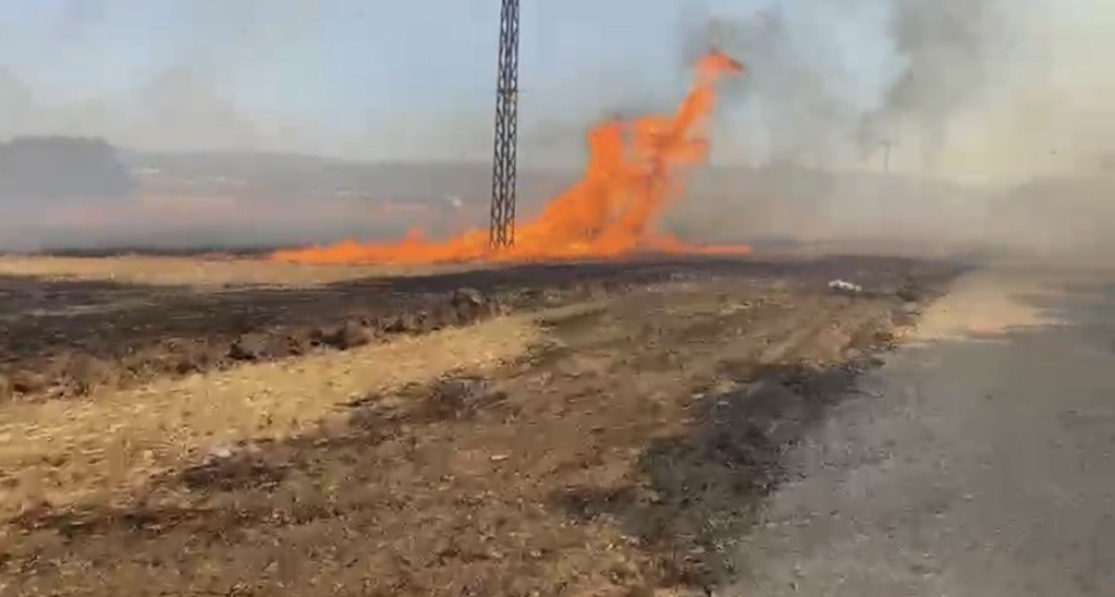 Çanakkale’de tarım arazisinde yangın