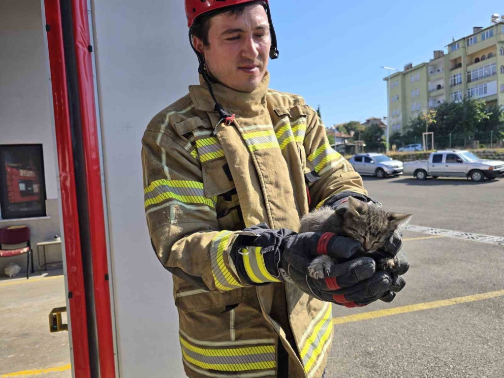 Otomobilin motorunda ilçe ilçe gezdi