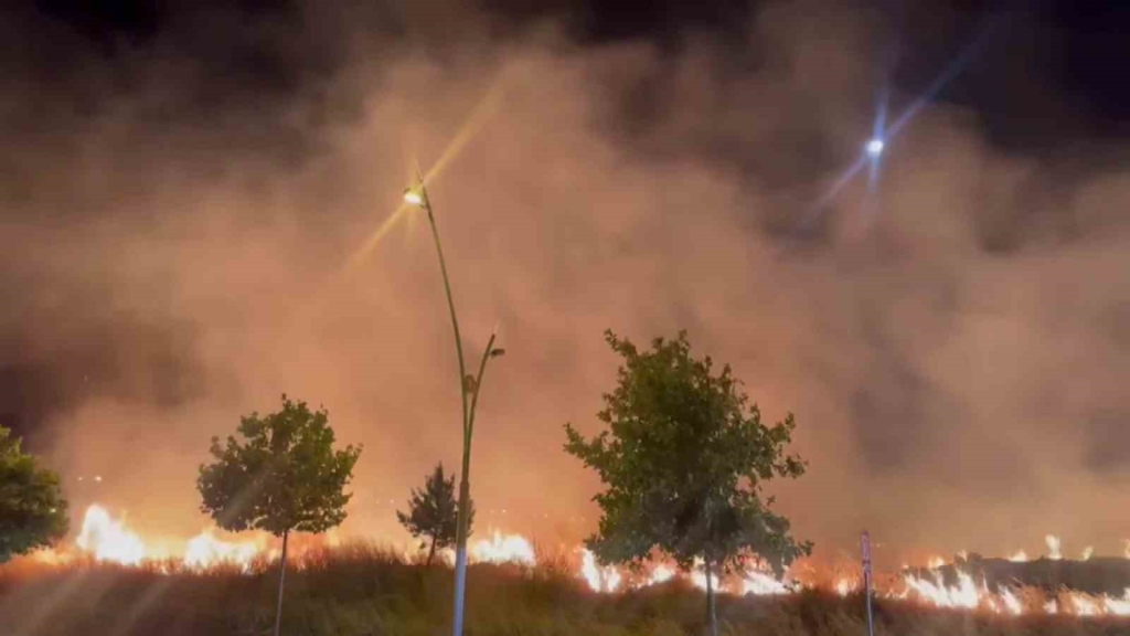 Diyarbakır’da korkutan yangın: Alevler yerleşim yerine ulaşmadan söndürüldü