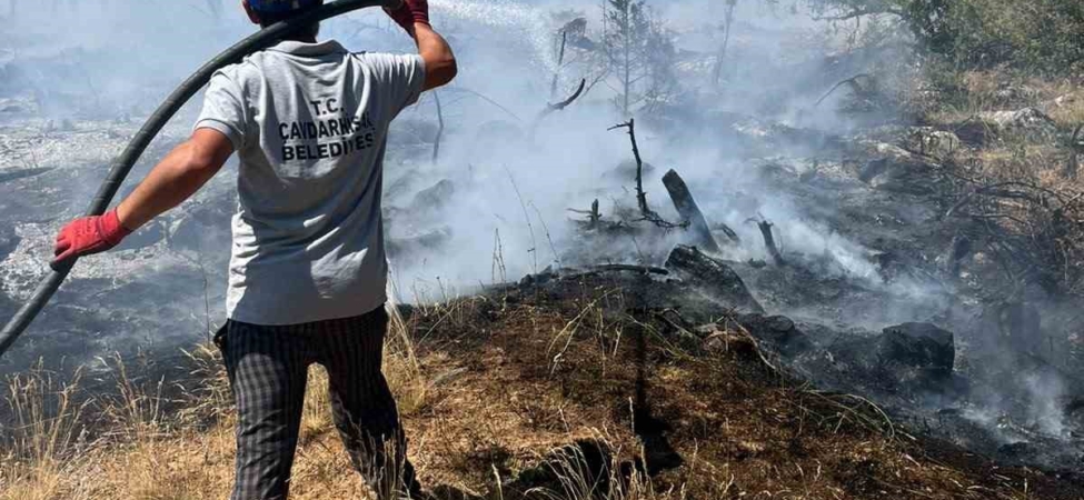 Kütahya’da orman yangını: Ekipler havadan ve karadan müdahale ediyor