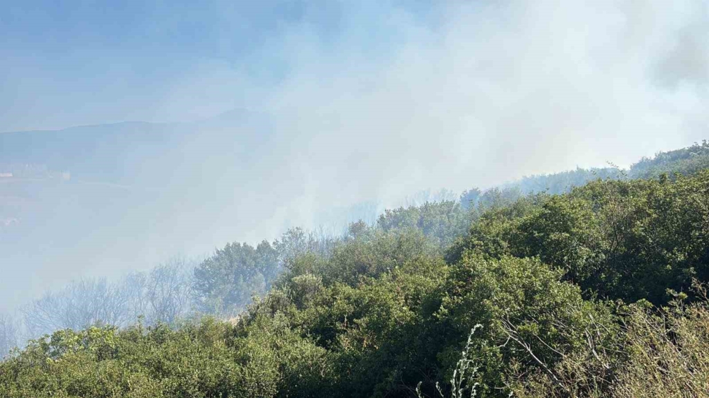 Bursa’da ormanlık alanda yangın çıktı