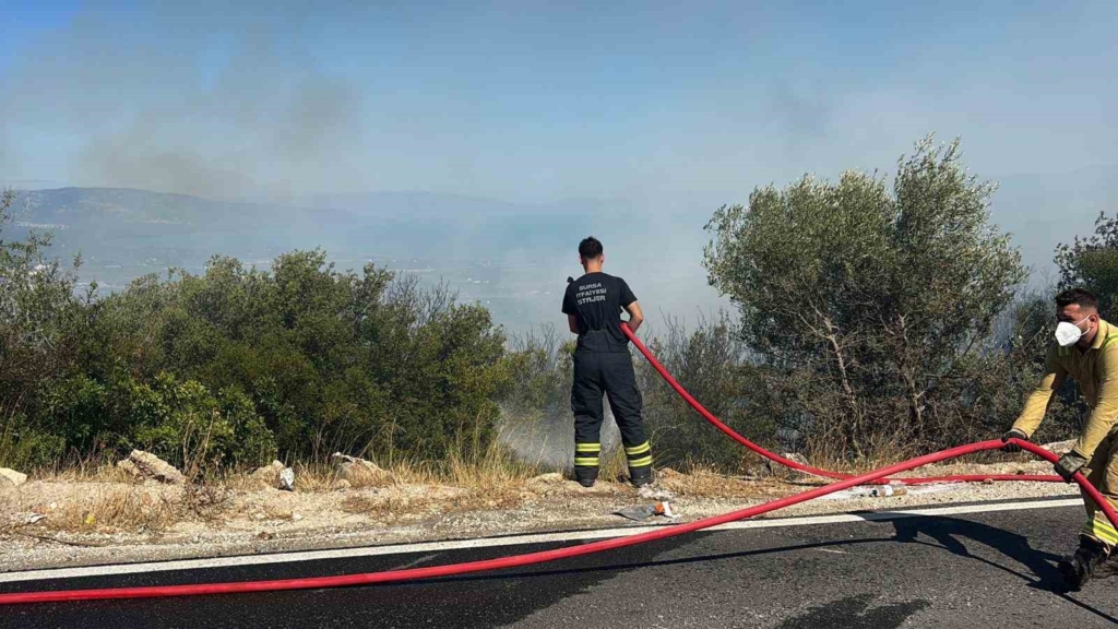 Bursa’da ormanlık alanda yangın çıktı