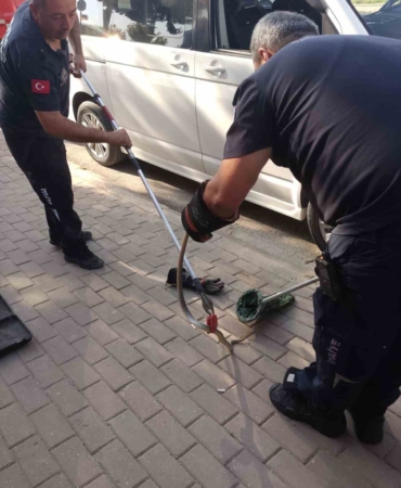 Minibüsün motoruna giren yılan itfaiye ekiplerini harekete geçirdi