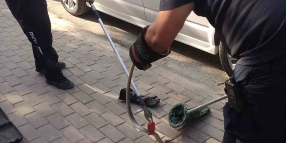 Minibüsün motoruna giren yılan itfaiye ekiplerini harekete geçirdi