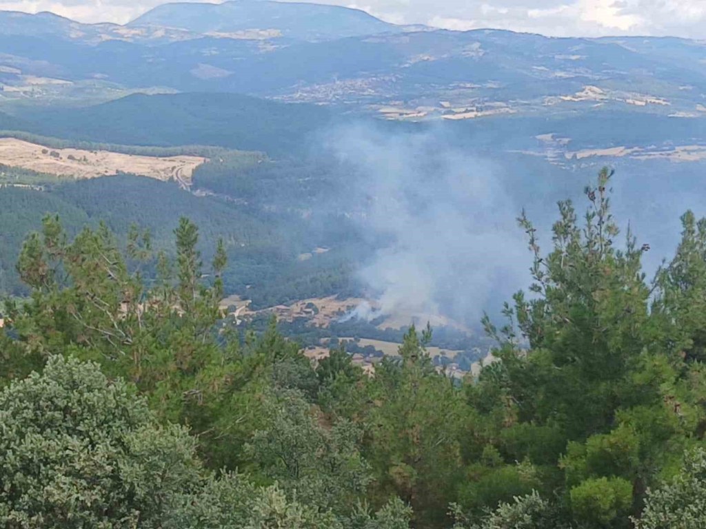 Ahırda çıkan yangın ormana sıçradı, büyümeden söndürüldü