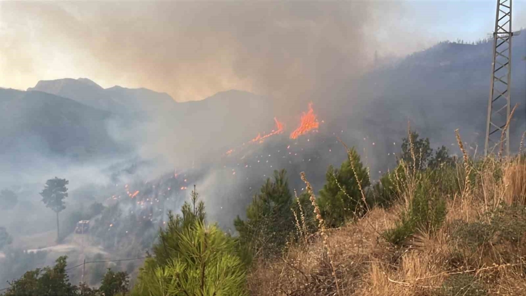 Alanya Sapadere Kanyonu’nda ormanlık alanda yangın
