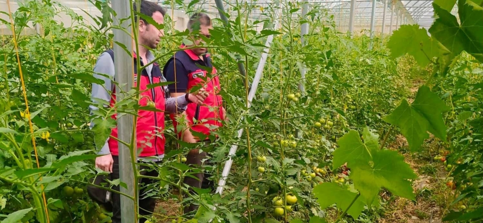 Akarçay Su Verimliliği Projesi devam ediyor