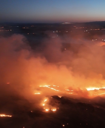 Adıyaman’da ormanlık alanda yangın