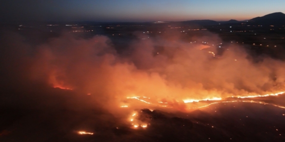 Adıyaman’da ormanlık alanda yangın