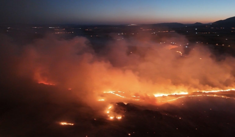 Adıyaman’da ormanlık alanda yangın