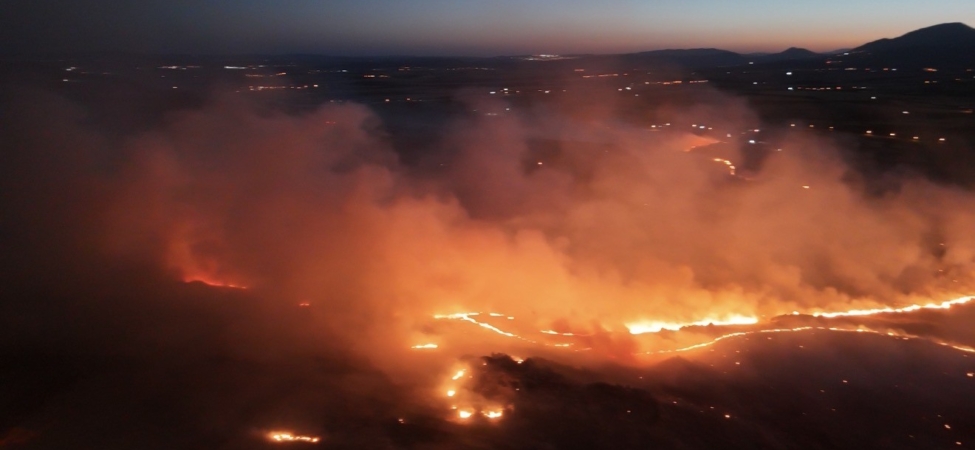 Adıyaman’da ormanlık alanda yangın