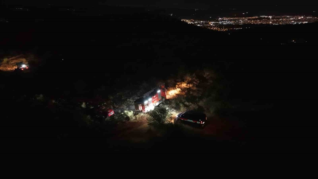 Bir kuş çam ormanlarını alevlerin eşiğine getirdi: Yangın büyümeden söndürüldü