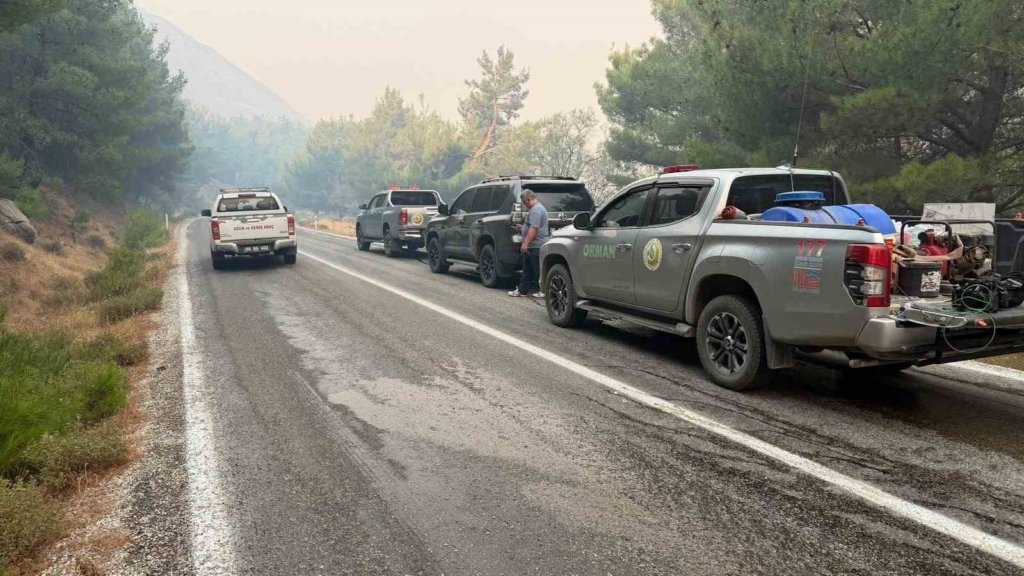 Balıkesir’deki yangın sebebiyle Ayvalık Bergama yolu trafiğe kapatıldı