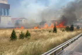 Anız yangını trafikte aksamaya neden oldu