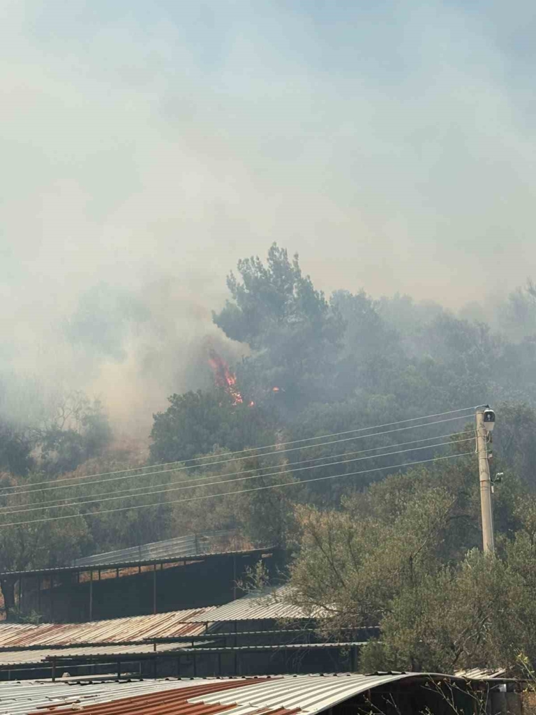 Kazdağı eteklerinde yangın