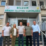 Orman yangınlarına karşı kritik mesai