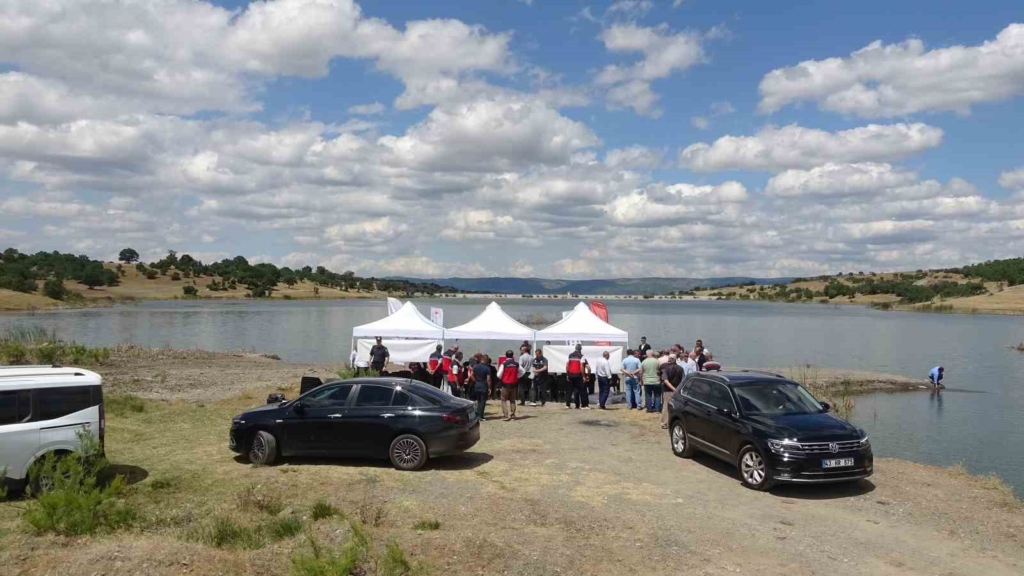 Tavşanlı göletlerine 123 bin yavru sazan bırakıldı
