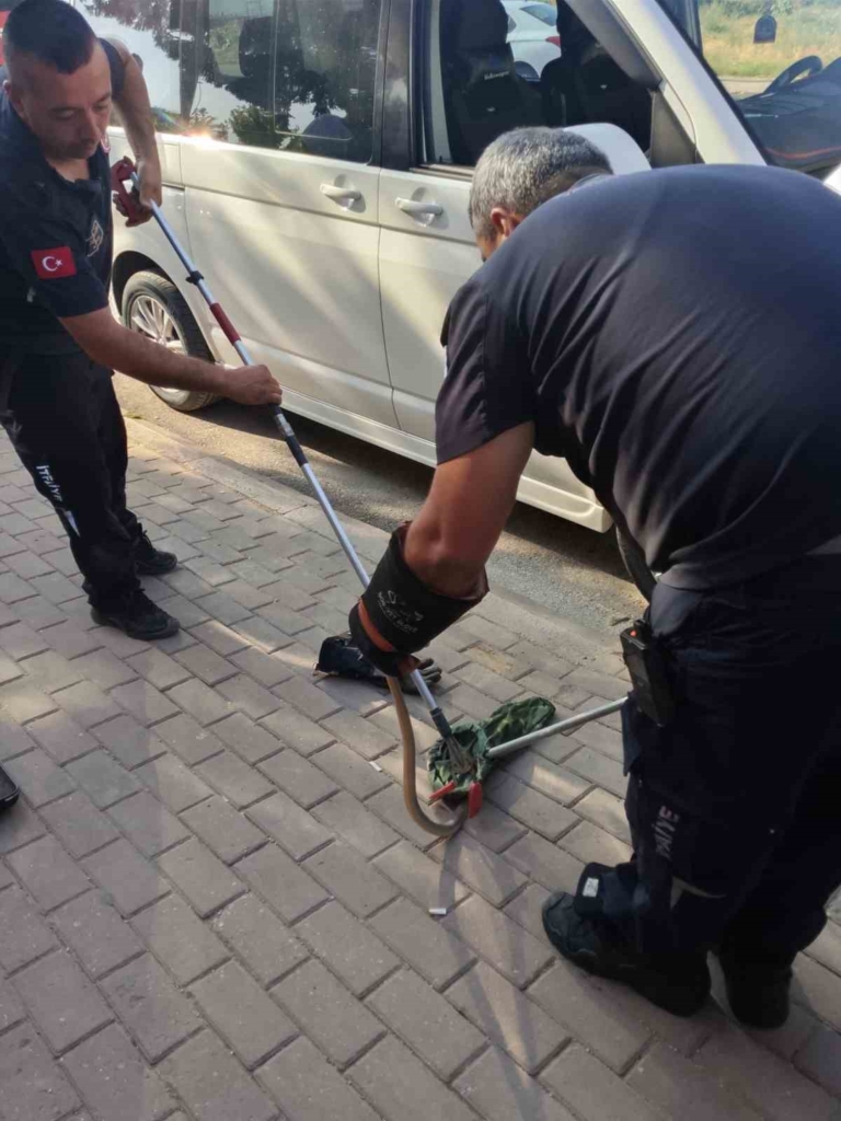 Minibüsün motoruna giren yılan itfaiye ekiplerini harekete geçirdi