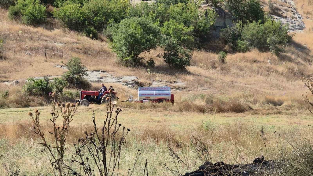 Domaniç’te tarlada başlayan ve ormanlık alana sıçrayan yangın söndürüldü