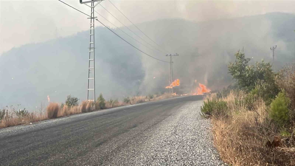 Alanya Sapadere Kanyonu’nda ormanlık alanda yangın