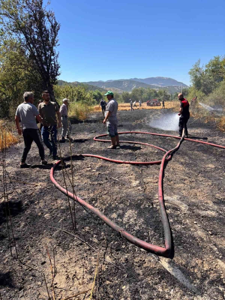Bolu’da otluk alanda çıkan yangın buğday tarlasına sıçradı