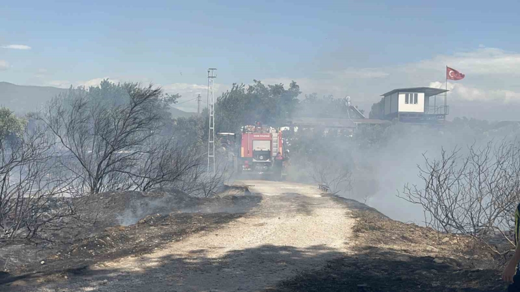 İzmir’de korkutan yangın: Alevler evlere ve ağıllara kadar ulaştı