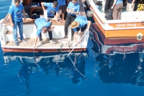 Akvaryumda dünyaya gelen 13 Mustelus mustelus yavrusu denize geri bırakıldı