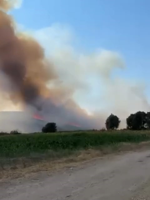Bursa’da orman yangını...Havadan karadan yoğun müdahale başladı