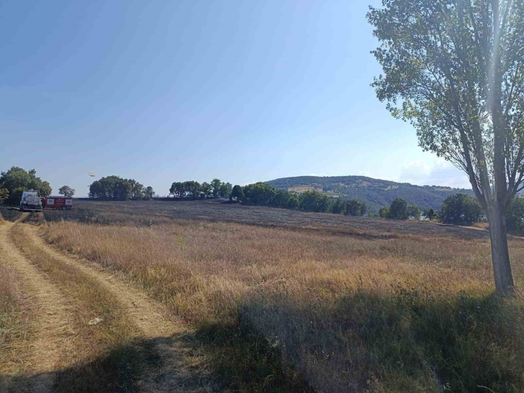 Bilecik’te ormanlık alandaki yangın kontrol altına alındı