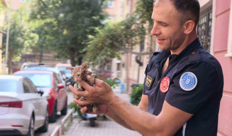 Yağmur suyu giderine sıkışan yavru kediyi itfaiye kurtardı