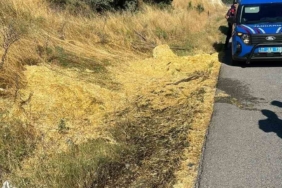 Yol kenarına atılan sigara izmariti yangına neden oldu